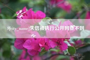 遵义失信被执行公开网查不到