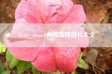 遵义中国金牌图片大全