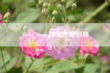 遵义中国地图9宫格