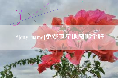 遵义免费卫星地图哪个好