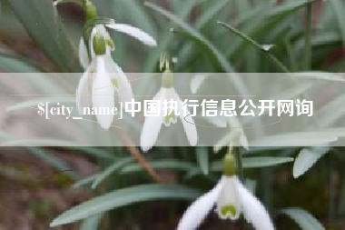 遵义中国执行信息公开网询