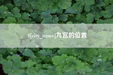 遵义九宫的位置