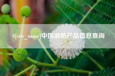 遵义中国消防产品信息查询