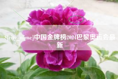 遵义中国金牌榜2024巴黎奥运会最新