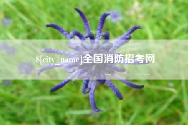 遵义全国消防招考网