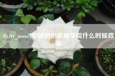 遵义中国消防救援学院什么时候政审