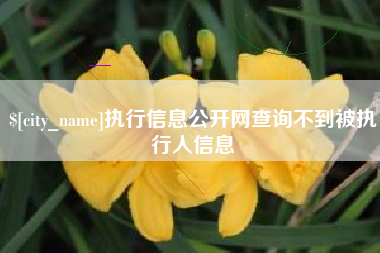 遵义执行信息公开网查询不到被执行人信息