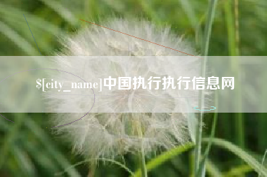 遵义中国执行执行信息网