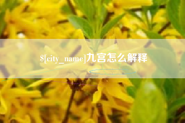 遵义九宫怎么解释