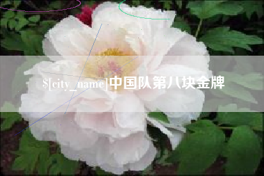 遵义中国队第八块金牌