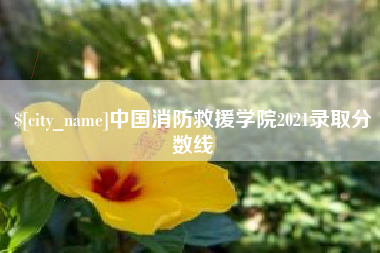 遵义中国消防救援学院2021录取分数线