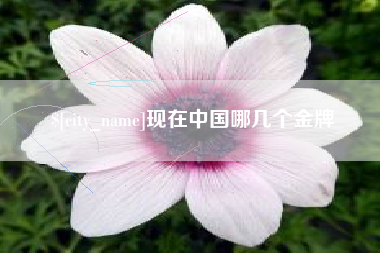 遵义现在中国哪几个金牌