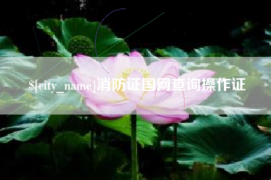 遵义消防证国网查询操作证