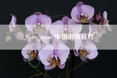 遵义中国消防官方