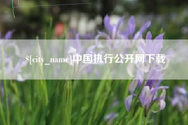 遵义中国执行公开网下载