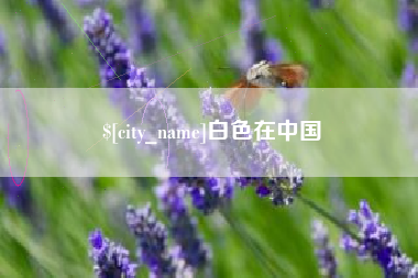 遵义白色在中国