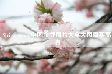 遵义中国金牌图片大全大图真实高清