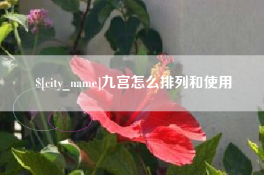 遵义九宫怎么排列和使用