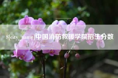 遵义中国消防救援学院招生分数