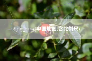 遵义中国地图(含比例尺)