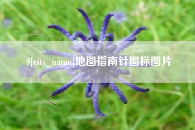 遵义地图指南针图标图片