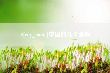 遵义中国的几个金牌