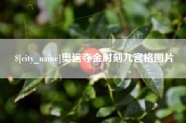 遵义奥运夺金时刻九宫格图片