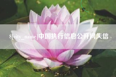 遵义中国执行信息公开网失信