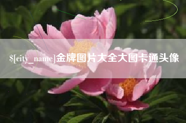 遵义金牌图片大全大图卡通头像