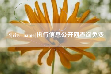 遵义执行信息公开网查询免费