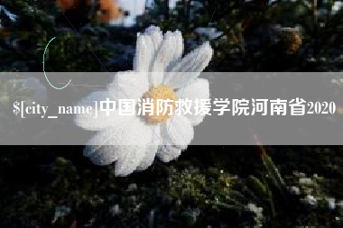 遵义中国消防救援学院河南省2020